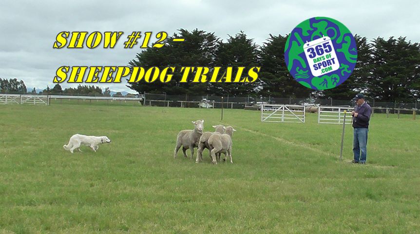 Show #12/365 – SHEEP DOG TRIALS – 4.11.15